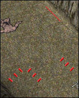 dungeontraps
